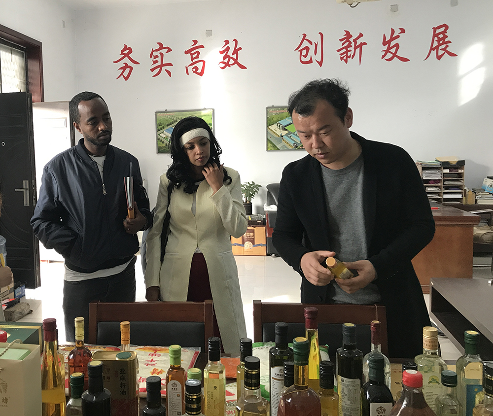 喀麥隆-亞麻籽油設備